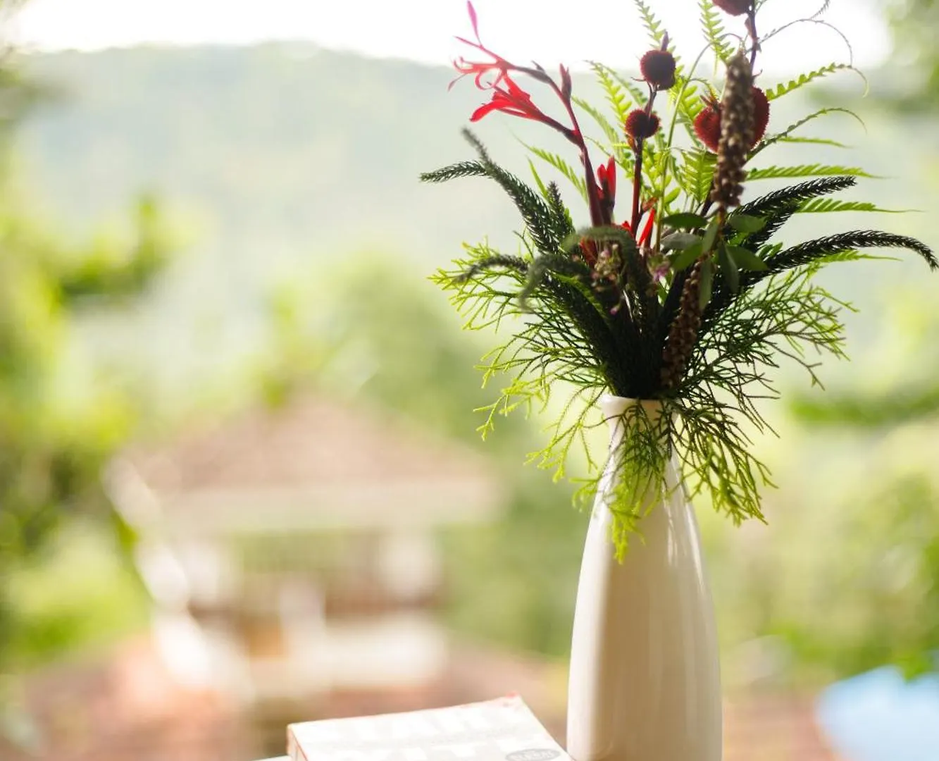 Disha Plantation Resort Anachal India