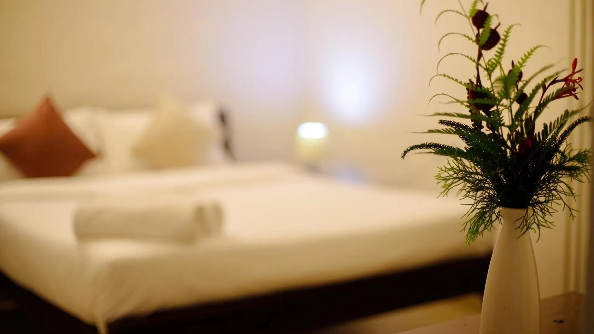 Disha Plantation Resort Anachal 0*,  India